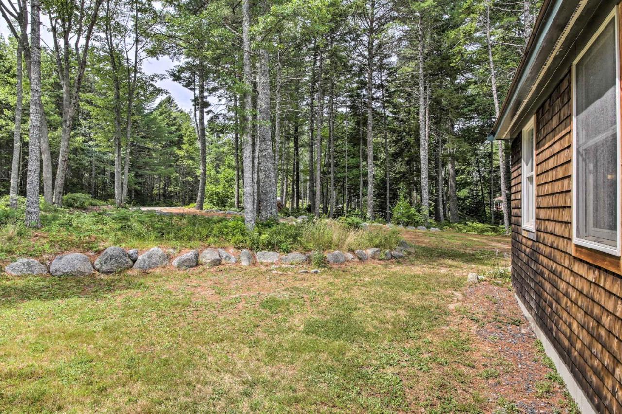 Hidden Gem Cottage Near Blue Hill Peninsula Brooklin Exterior photo