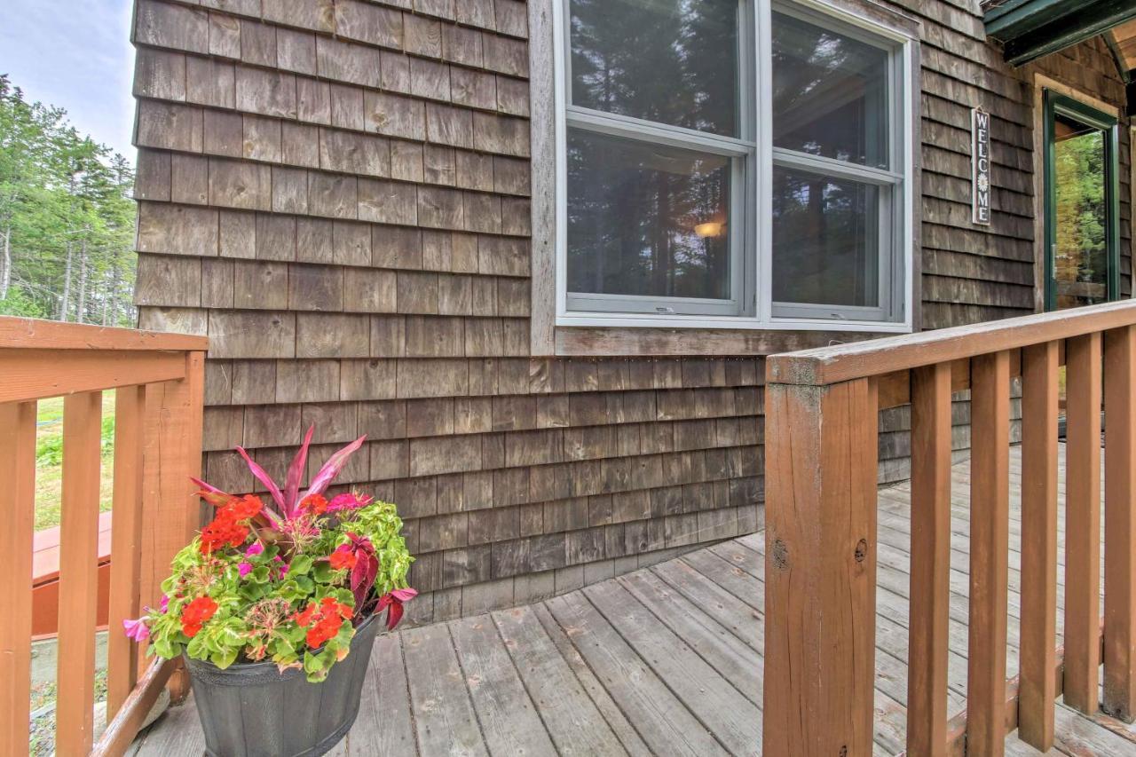 Hidden Gem Cottage Near Blue Hill Peninsula Brooklin Exterior photo
